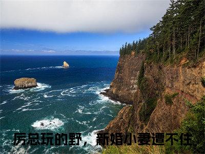 厉邢童晚书（厉总玩的野，新婚小妻遭不住）全文完整版免费阅读_厉总玩的野，新婚小妻遭不住厉邢童晚书全文免费阅读