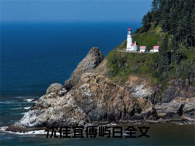 沈佳宜傅屿白小说在线阅读全文完整版免费阅读_沈佳宜傅屿白小说免费最新章节列表