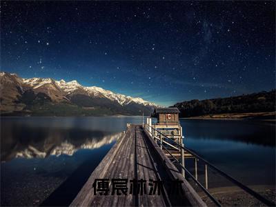 新上热文傅宸林沐沐-傅宸林沐沐在线阅读的小说完整版