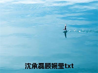 沈承磊顾婉莹（沈承磊顾婉莹全文免费阅读）完结阅读_沈承磊顾婉莹全文免费阅读免费看全文
