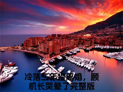 冷落三年提离婚，顾机长哭晕了（姜暖顾庭轩）小说全文免费阅读-姜暖顾庭轩小说最新章节完整版