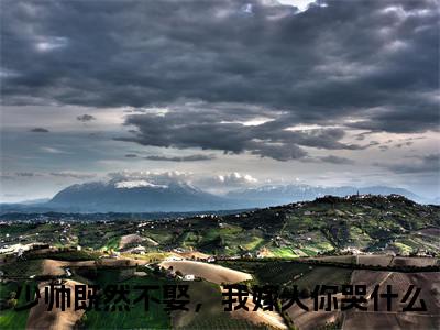 少帅既然不娶，我嫁人你哭什么（姜止楚伯承全文在线阅读）-少帅既然不娶，我嫁人你哭什么小说（姜止楚伯承）免费阅读最新章节列表无弹窗