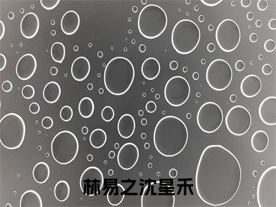 林易之沈星禾（林易之沈星禾小说）全文免费阅读无弹窗大结局_（林易之沈星禾阅读无弹窗）林易之沈星禾小说章节列表_笔趣阁
