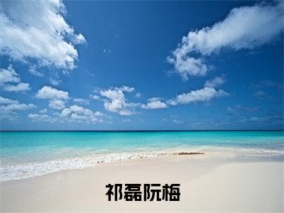 祁磊阮梅无广告小说正版在线阅读，祁磊阮梅全文在线阅读大结局