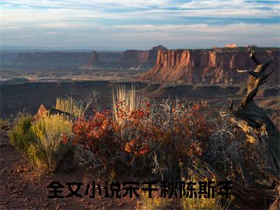 宋千秋陈斯年是什么小说-宋千秋陈斯年全文免费阅读无弹窗大结局（宋千秋陈斯年）最新章节阅读