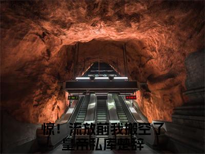 惊！流放前我搬空了皇帝私库楚辞全文免费阅读无弹窗大结局_惊！流放前我搬空了皇帝私库楚辞最新章节列表笔趣阁