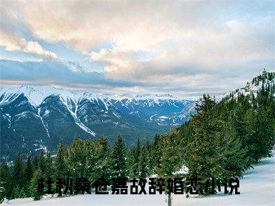 杜秋桑仓嘉故辞（杜秋桑仓嘉故辞）全文免费阅读无弹窗大结局_杜秋桑仓嘉故辞最新章节列表（杜秋桑仓嘉故辞）