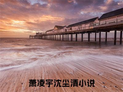 萧凌宇沈尘清（萧凌宇沈尘清）全文免费阅读无弹窗大结局_萧凌宇沈尘清最新章节列表_笔趣阁（萧凌宇沈尘清）