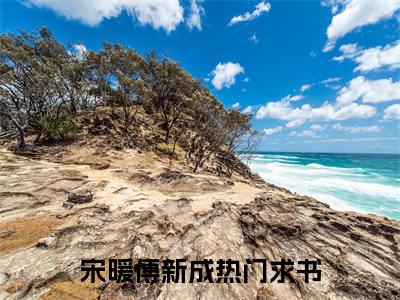 宋暖傅新成小说哪里能看-(宋暖傅新成)最新章节在线阅读