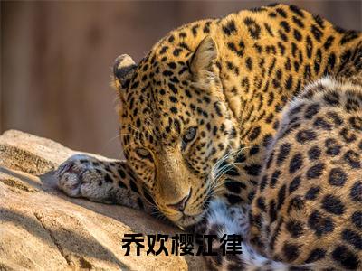 乔欢樱江律小说全文（乔欢樱江律）完整版阅读-乔欢樱江律小说全文无删减版