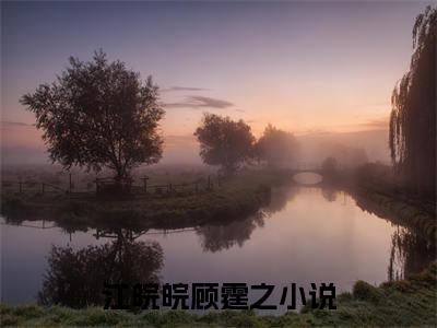 江皖皖顾霆之（江皖皖顾霆之）全文免费阅读无弹窗大结局_江皖皖顾霆之最新章节列表