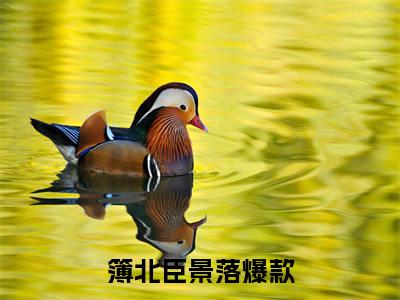 簿北臣景落全文免费阅读大结局-（簿北臣景落）最新章节列表在线阅读