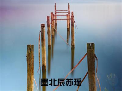 小说（墨北辰苏瑶）_墨北辰苏瑶全文阅读_墨北辰苏瑶免费阅读大结局