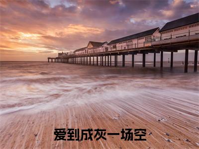 顾淮苏菁菁小说（爱到成灰一场空）全文在线阅读无弹窗大结局顾淮苏菁菁