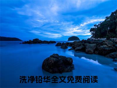洗净铅华（还君皎洁）全文免费阅读无弹窗大结局_洗净铅华免费最新章节列表_笔趣阁（还君皎洁）