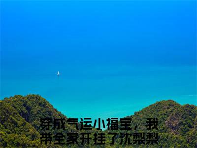 新书热荐穿成气运小福宝，我带全家开挂了沈梨梨全文免费阅读无弹窗大结局-小说穿成气运小福宝，我带全家开挂了沈梨梨全文完整版免费阅读