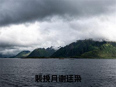 裴挽月谢廷枭全文免费阅读无弹窗大结局_章节列表_笔趣阁