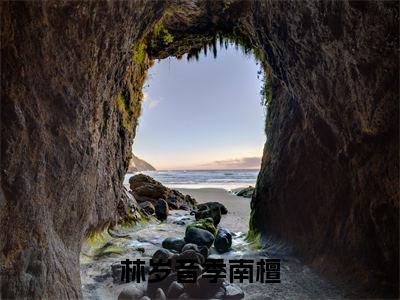 热度超高林岁音季南檀小说-小说完整版全文资源阅读