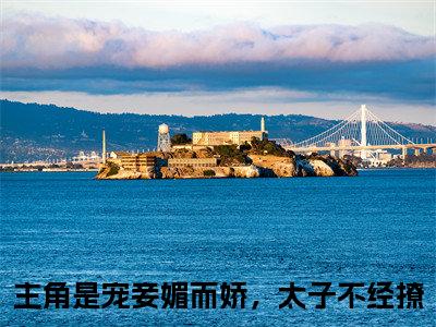 （姜锦书谢暨白）宠妾媚而娇，太子不经撩全文免费阅读无弹窗大结局_姜锦书谢暨白（宠妾媚而娇，太子不经撩）小说结局免费阅读