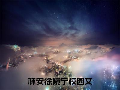 林安徐婉宁无删版小说阅读-林安徐婉宁全文无弹窗试读