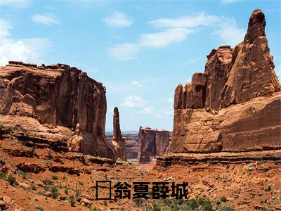 翁夏薛城高赞小说完结阅读（翁夏薛城全文免费阅读）_翁夏薛城全文免费阅读