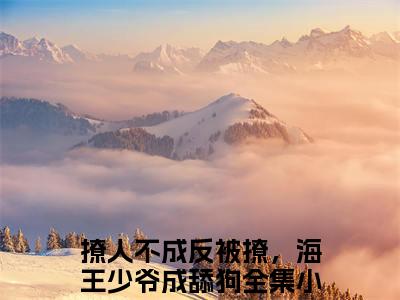 撩人不成反被撩，海王少爷成舔狗（顾靖槐尉岚）全文免费阅读_（顾靖槐尉岚）小说撩人不成反被撩，海王少爷成舔狗最新章节阅读
