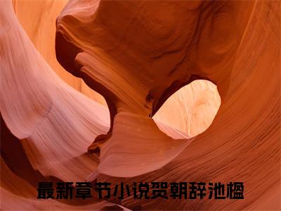 我家餐馆通古今，摄政王宠我入骨全集免费阅读无弹窗_贺朝辞池楹完结小说榜单阅读（贺朝辞池楹小说）