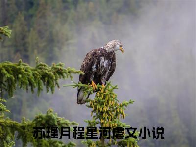 爱意似雾将散（苏瑾月程星河）全文免费阅读无弹窗大结局_爱意似雾将散最新章节列表（苏瑾月程星河）