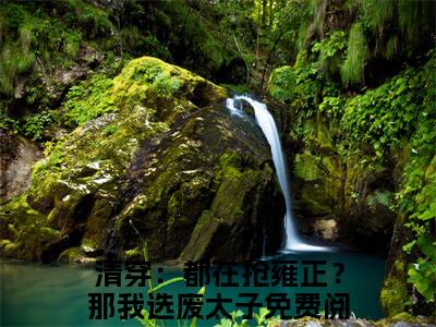 胤礽石毓敏（清穿：都在抢雍正？那我选废太子）最新章节在线阅读抖音新书热荐清穿：都在抢雍正？那我选废太子