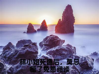 林小姐死遁后，莫总疯了小说（林诗雨莫修霆）全文免费阅读无弹窗大结局_（林小姐死遁后，莫总疯了）林诗雨莫修霆小说免费阅读最新章节列表