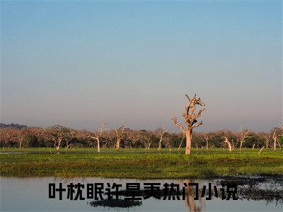 叶枕眠许星夷（叶枕眠许星夷）全文免费阅读无弹窗大结局_叶枕眠许星夷最新章节列表_笔趣阁