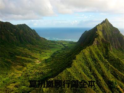 夏初岚顾行简全文免费阅读无弹窗-（夏初岚顾行简在线阅读）夏初岚顾行简最新章节列表笔趣阁