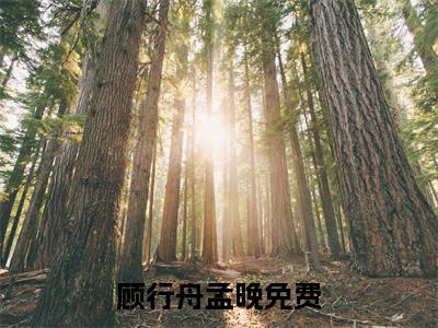 顾行舟孟晚(顾行舟孟晚）全文免费阅读无弹窗大结局_ 顾行舟孟晚最新章节完整版阅读