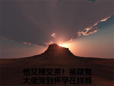 谢京墨虞之琬全文免费阅读（他又撩又茶！被桀骜大佬宠到怀孕免费阅读无弹窗）谢京墨虞之琬最新章节列表_笔趣阁
