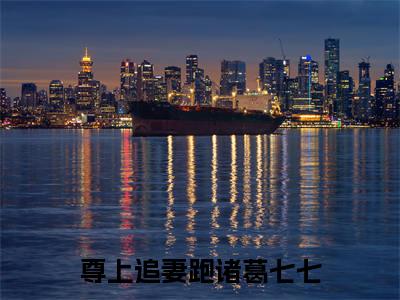 尊上追妻跑诸葛七七（尊上追妻跑诸葛七七小说）全文免费阅读无弹窗大结局_(尊上追妻跑诸葛七七小说免费阅读全文大结局)最新章节列表_笔趣阁（尊上追妻跑诸葛七七）