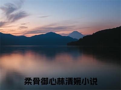 柔骨御心林清婉（柔骨御心林清婉全文免费阅读）小说最新章节_柔骨御心林清婉全文免费阅读最新章节列表_笔趣阁