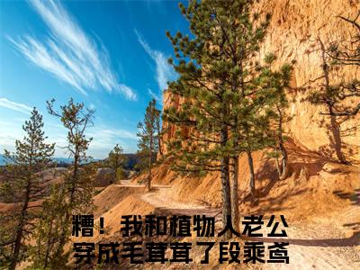 糟！我和植物人老公穿成毛茸茸了段乘鸢（糟！我和植物人老公穿成毛茸茸了段乘鸢）全文完整版免费阅读_（糟！我和植物人老公穿成毛茸茸了段乘鸢小说免费阅读）最新章节列表