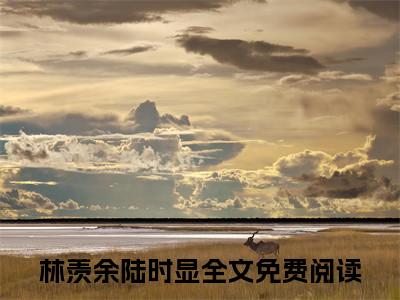 林羡余陆时显小说全文，林羡余陆时显无弹窗免费阅读