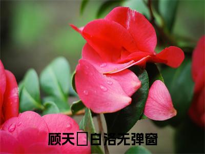 主角为顾天璟白洛的小说精彩阅读-顾天璟白洛最新章节阅读