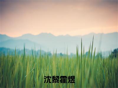 主角是沈黎霍煜的小说叫什么名字渣男吃绝户？郡主她血洗将军府-老书虫书荒推荐热点小说渣男吃绝户？郡主她血洗将军府（沈黎霍煜）