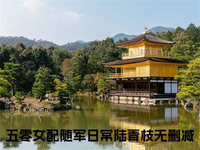 五零女配随军日常陆青枝小说全文免费阅读 五零女配随军日常陆青枝最新章节