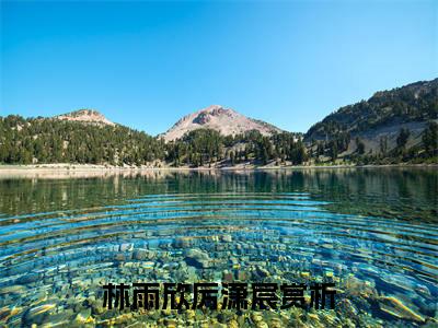 林雨欣厉潇宸小说（林雨欣厉潇宸）全文免费阅读无弹窗_林雨欣厉潇宸全文免费阅读无弹窗最新章节列表笔趣阁（林雨欣厉潇宸）