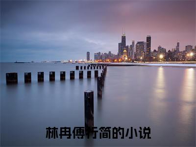 林冉傅行简长篇小说免费阅读-小说最新试读