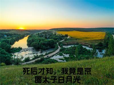 裴云霄沈熹微全文免费阅读无弹窗大结局_（死后才知，我竟是京圈太子白月光）裴云霄沈熹微小说免费阅读完整版全文大结局