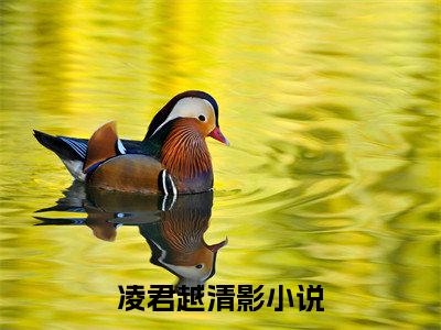 凌君越清影（凌君越清影）小说全文无广告阅读-凌君越清影小说赏析