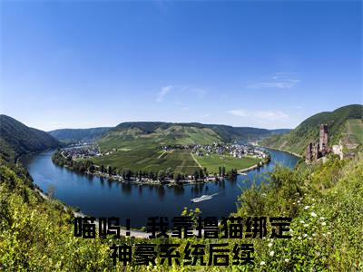 乔奚全文免费阅读大结局喵呜！我靠撸猫绑定神豪系统最新章节列表（全文）+（番外）