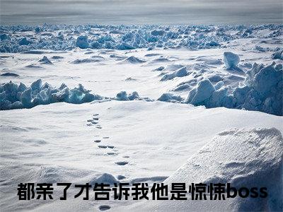 都亲了才告诉我他是惊悚boss全文免费在线阅读_（林辰安宋雪媱全文免费阅读无弹窗大结局）都亲了才告诉我他是惊悚boss最新章节列表笔趣阁