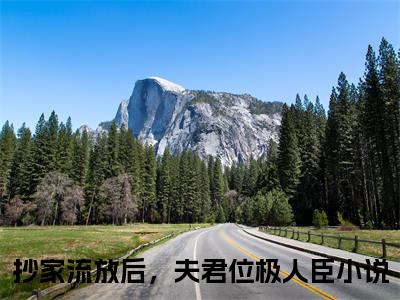 抄家流放后，夫君位极人臣（纪知岁裴忆安）全文免费阅读无弹窗大结局_（抄家流放后，夫君位极人臣）最新章节列表_纪知岁裴忆安