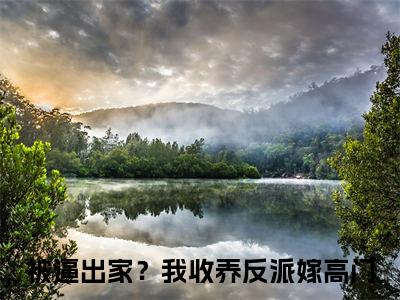 曹舒月《被逼出家？我收养反派嫁高门小说免费阅读》完整-曹舒月小说（被逼出家？我收养反派嫁高门）全文最新阅读