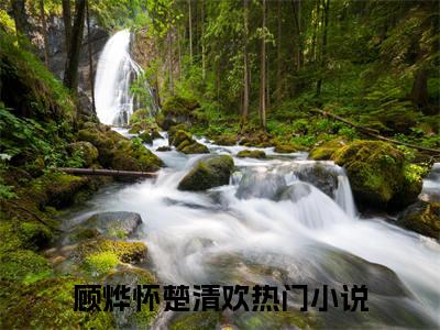 顾烨怀楚清欢小说（顾烨怀楚清欢）全文免费阅读无弹窗_顾烨怀楚清欢全文免费阅读无弹窗最新章节列表笔趣阁（顾烨怀楚清欢）
